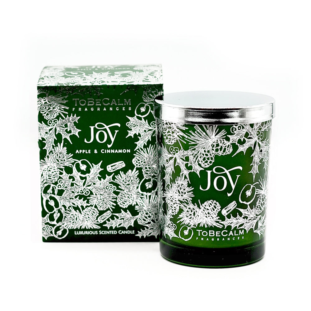 Joy - Apple & Cinnamon - Large Soy Candle